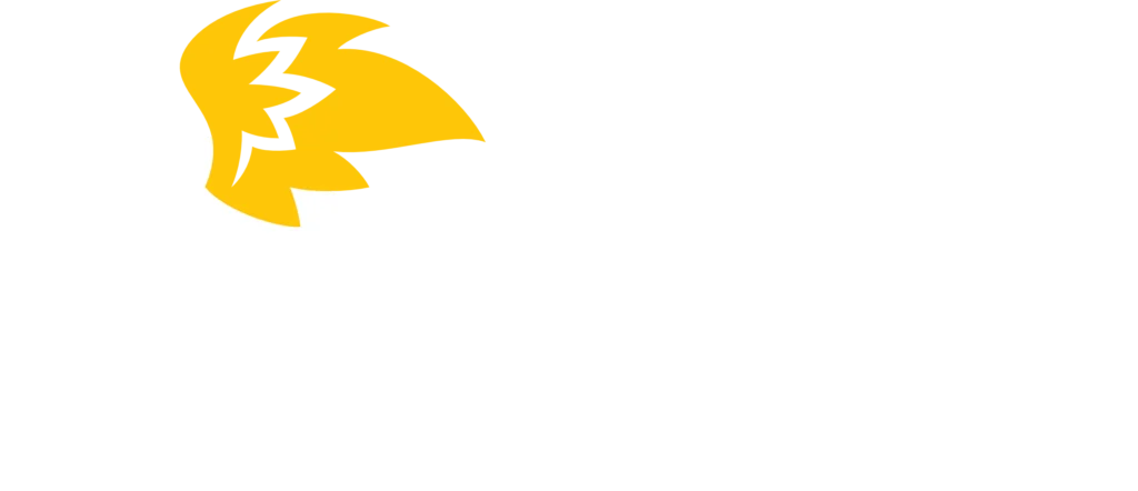 Buffalo Wild Wings